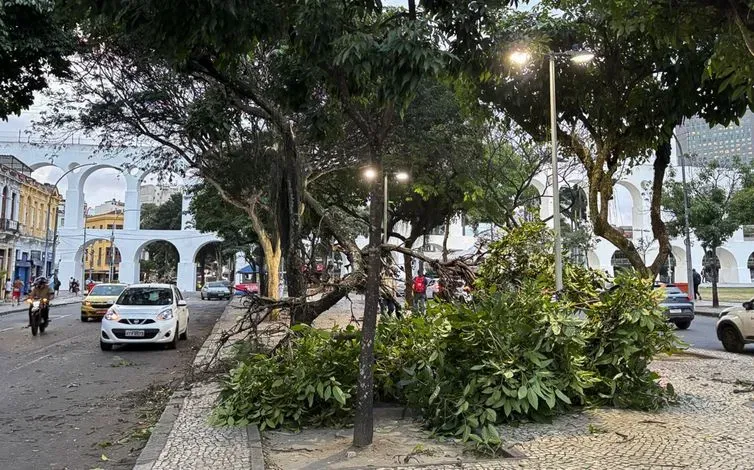 Rio de Janeiro - 29/07/2026 - ventania causa estragos no Rio. Foto Tânia Rêgo/Agência Brasil