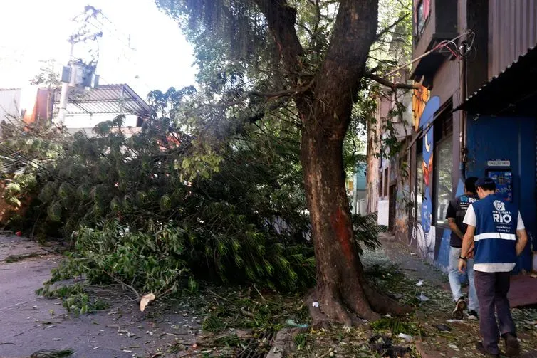 Rio de Janeiro (RJ), 30/07/2026 - Estragos provocados pelos fortes ventos que atingiram a cidade  na tarde desta quarta-feira (29). Árvore caída bloqueia passagem em Botafogo. Foto: Tânia Rêgo/Agência Brasil