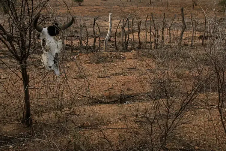 Desertificação no Brasil ameaça água, alimento, clima e biodiversidade.  Nordeste brasileiro é o mais afetado pelos processos de seca e desertificação. Crédito: ASA / Divulgação