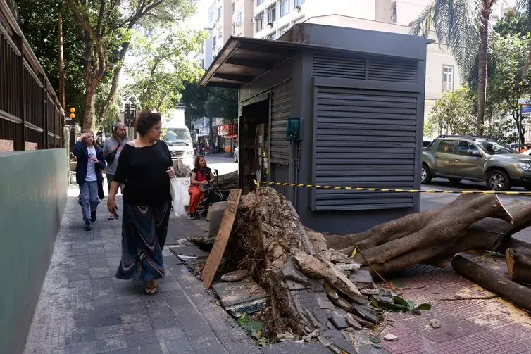 Rio de Janeiro (RJ), 30/07/2026 - Estragos provocados pelos fortes ventos que atingiram a cidade  na tarde desta quarta-feira (29).  Foto: Tânia Rêgo/Agência Brasil