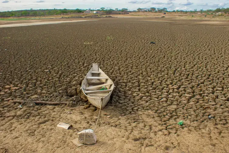 Da Amazônia à Europa, seca avança e movimenta debates na COP17. Rio seco no Semiárido Nordestino. Crédito: ASA / Divulgação