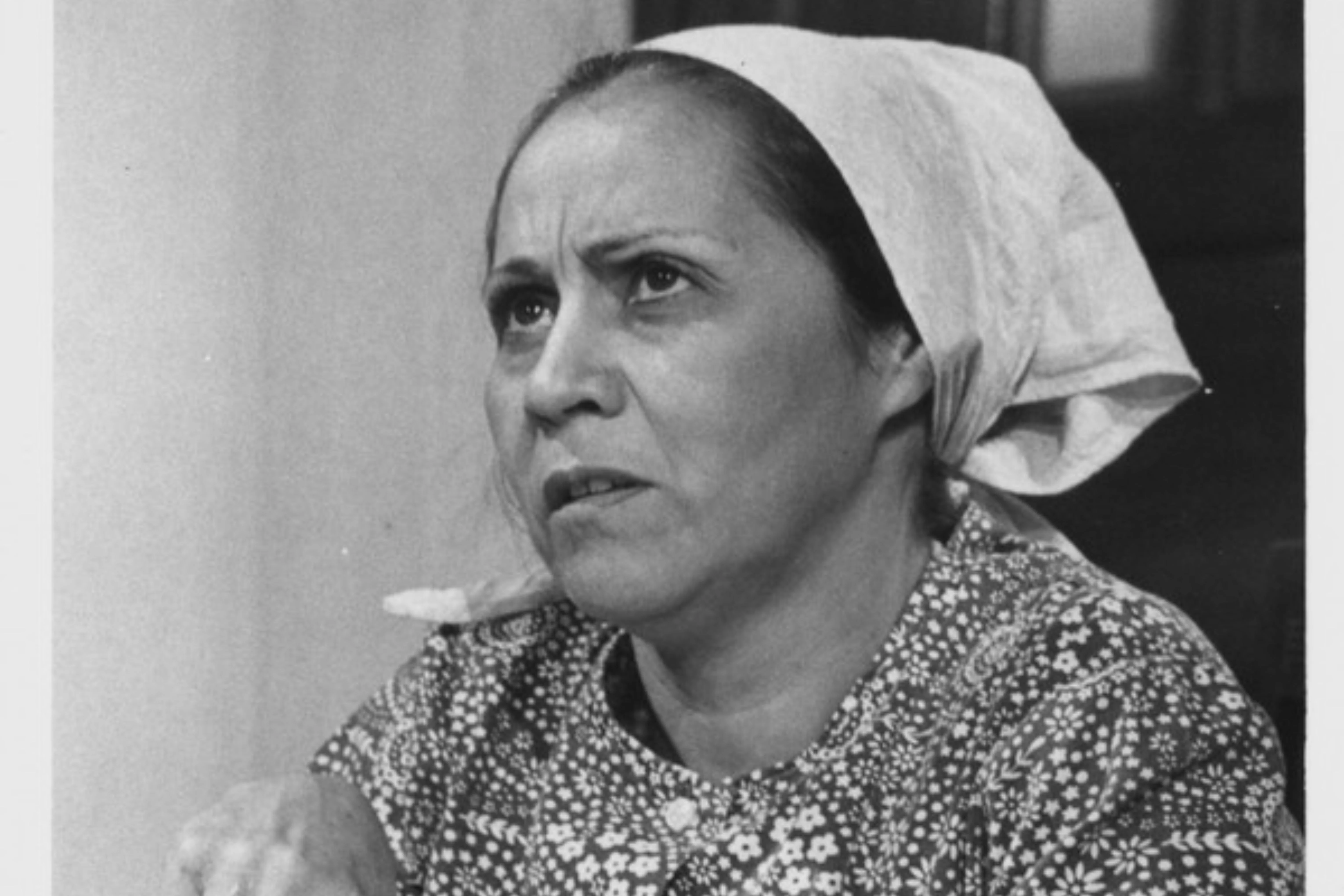 4 - Pecado Capital  (1975) - A atriz interpretava a personagem "Alzira Batista" na trama  Reprodução