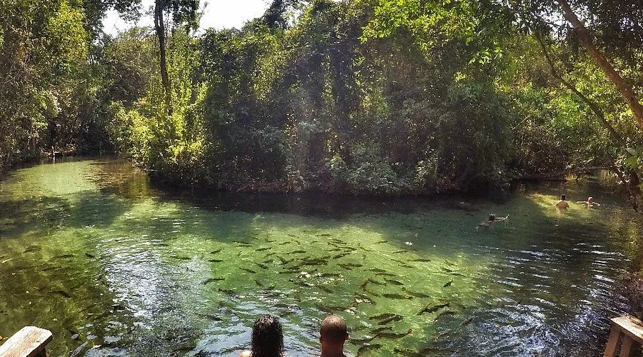 Refúgio das Águas – Um lugar ideal para quem busca tranquilidade e contato com a natureza. Com trilhas leves e banhos relaxantes no Rio Salobra, é o destino perfeito para relaxar e se revigorar em meio a águas cristalinas, podendo escolher entre ficar o dia todo ou apenas meio período. Reprodução