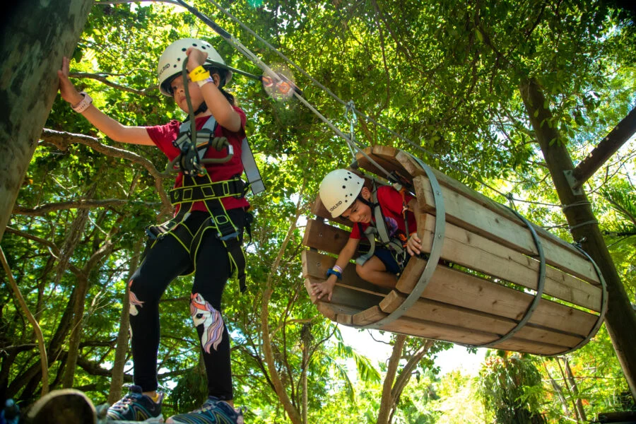 O parque de aventura com tirolesa aérea Treetop Trekking at Jungle Island oferece três percursos emocionantes em seis acres, com opções para crianças a partir de cinco anos. Crianças adoram liberar seu "Tarzan interior" com cabos e tirolesas, enquanto os pais apreciam a experiência de união familiar e a oportunidade de ver animais como capivaras e lêmures ao redor do parque. Divulgação