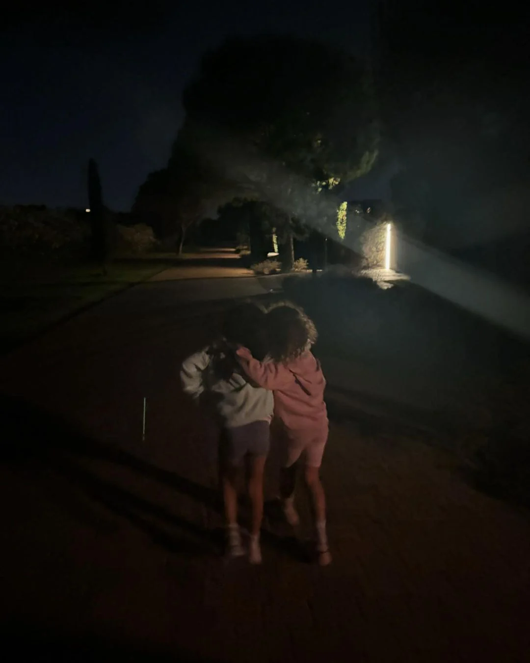 Filhos do casal brincando Reprodução