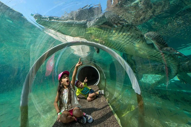 No Zoo Miami, as crianças podem ver leões, zebras, girafas e elefantes, além de brincar nas zonas de splash e áreas de atividades. Os pais podem apreciar a conveniência dos cafés e restaurantes espalhados pelo parque e a diversão em família com o Safari Cycle, uma bicicleta para quatro pessoas. Divulgação
