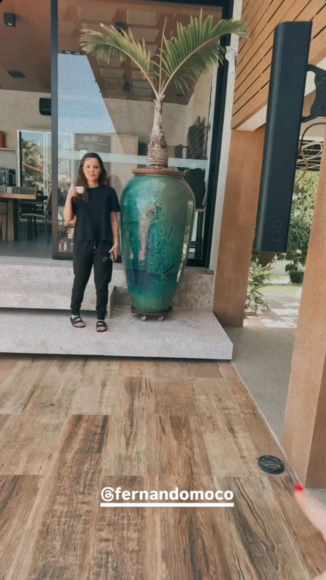 Maraisa se compara com vaso de planta Reprodução/Instagram