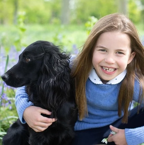 3º- Princesa Charlotte de Gales: Filha mais velha do Príncipe William e terceira na linha de sucessão. No momento, ela ocupa a posição anteriormente ocupada por seu tio, Príncipe Harry.


 Reprodução: Flipar