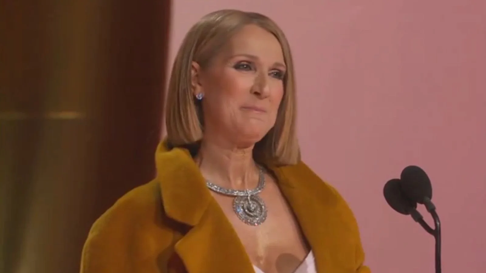 Céline Dion fez aparição surpresa no 'Grammy 2024' Reprodução/HBO Max - 05.02.2024