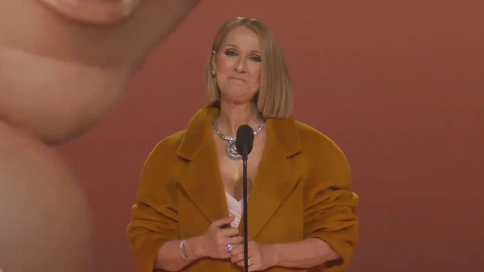 Céline Dion em aparição surpresa no 'Grammy 2024' Reprodução/HBO Max - 05.02.2024