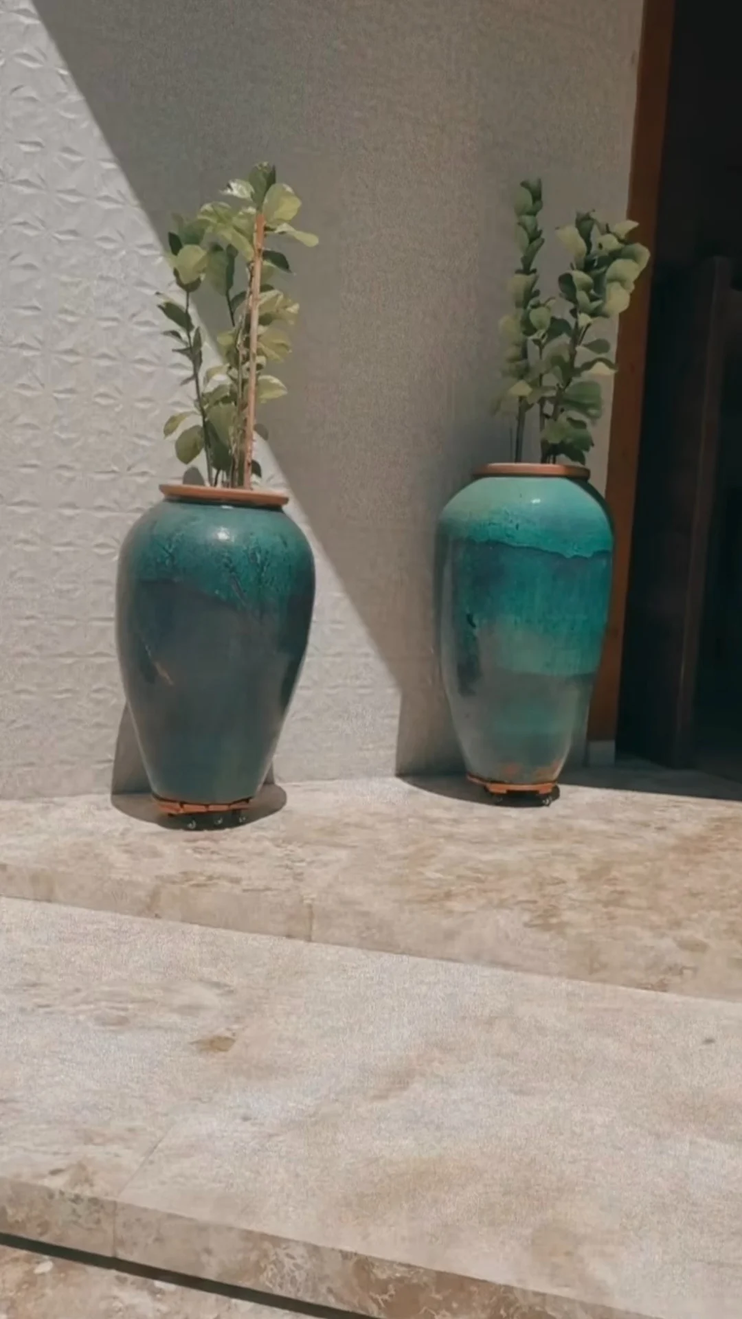 Maiara mostrou um vaso de planta gigante Reprodução/Instagram