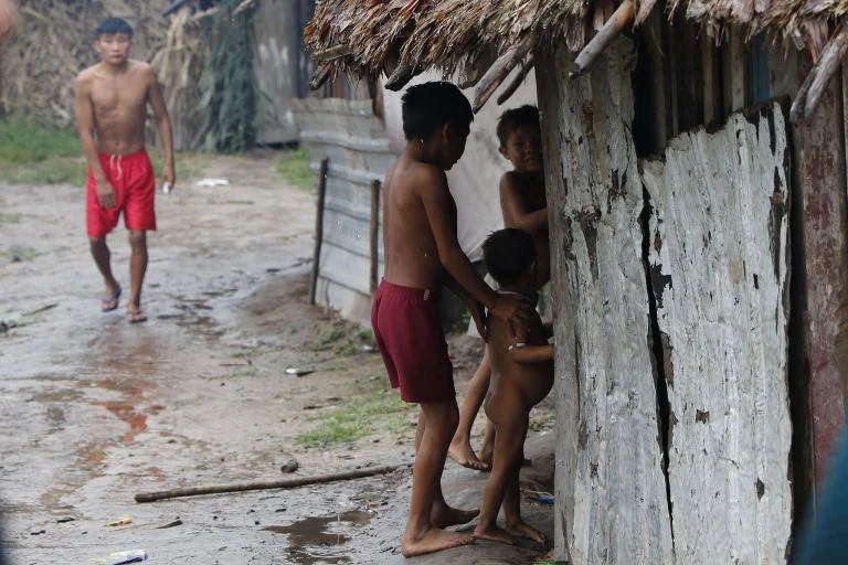 Direitos Humanos e Minorias - índio - Surucucu, Terra Indígena Yanomami