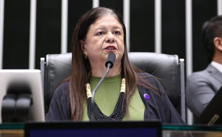 Deputada Laura Carneiro (PSD-RJ) fala no Plenário da Câmara dos Deputados