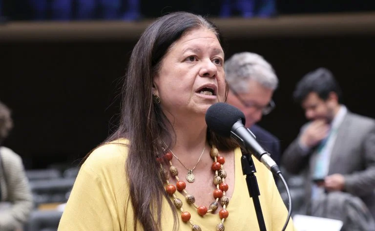 Deputada Laura Carneiro (PSD-RJ) fala no Plenário da Câmara dos Deputados