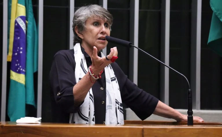 Discussão e votação de propostas legislativas. Dep. Erika Kokay (PT - DF)