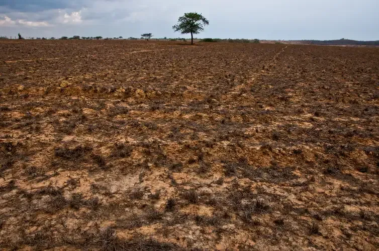 ASA / Divulgação Da Amazônia à Europa, seca avança e movimenta debates na COP17. Seca impacta agricultura, alimentação e segurança hídrica no Brasil. Crédito: ASA / Divulgação