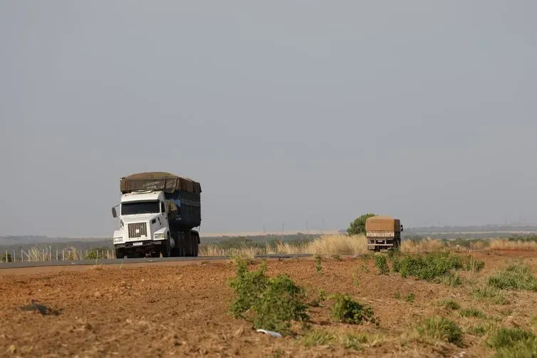 Fernando Frazão/Agência Brasil Balsas (MA), 09/10/2025 – Caminhões circulam na rodovia MA-140 próximo a fazendas de cultivo de soja. Foto: Fernando Frazão/Agência Brasil