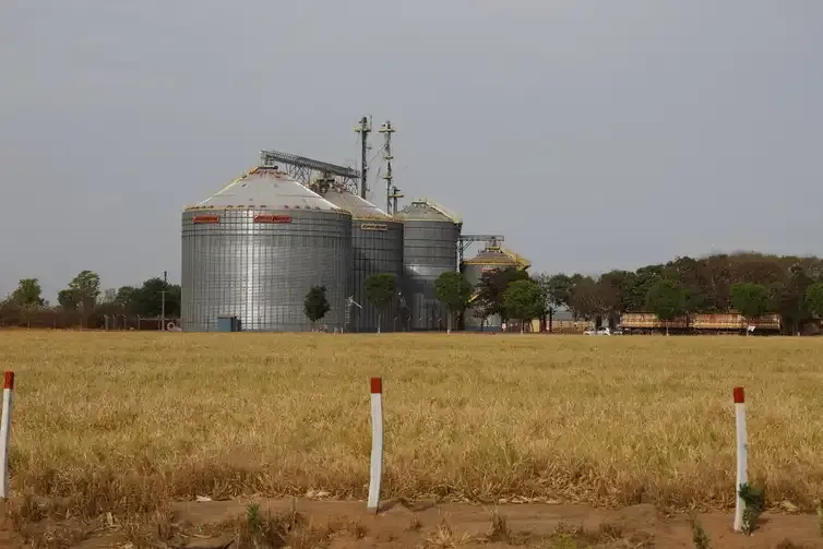 Fernando Frazão/Agência Brasil Balsas (MA), 09/10/2025 – Silos para armazenamento de grãos em fazenda de cultivo de soja vistos ao longo da rodovia MA-140. Foto: Fernando Frazão/Agência Brasil