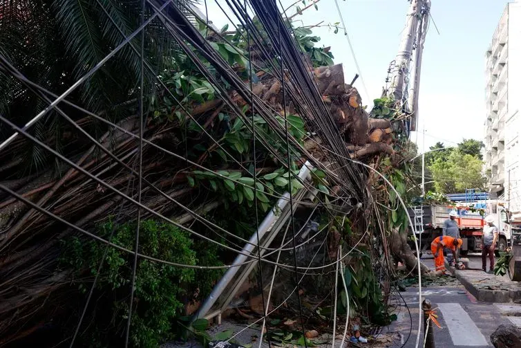 Tânia Rêgo/Agência Brasil Rio de Janeiro (RJ), 30/07/2026 - Estragos provocados pelos fortes ventos que atingiram a cidade na tarde desta quarta-feira (29). Árvore caí em frente ao Hospital Pró-Cardíaco, em Botafogo, destruindo portão e fiação Foto: Tânia Rêgo/Agência Brasil