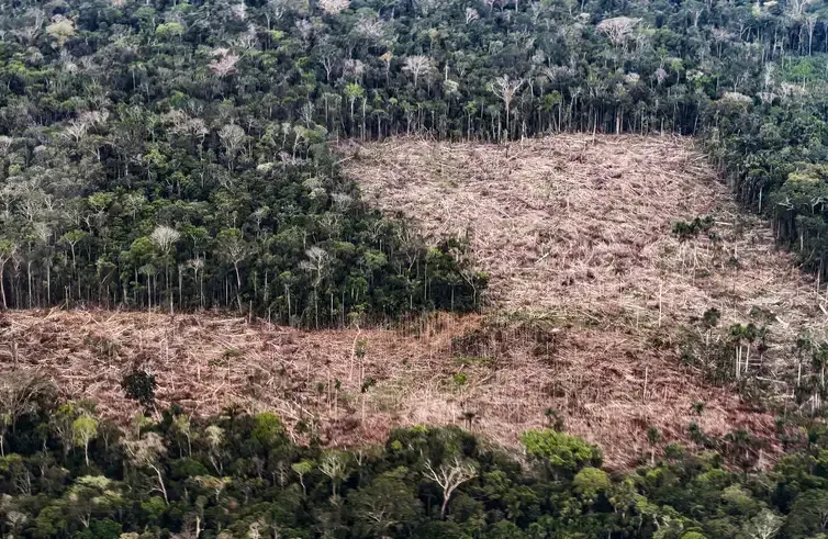 Rafa Neddermeyer/Agência Brasil 13/10/2026 - Acre - O desmatamento, a derrubada de árvores e a degradação florestal transformam a paisagem amazônica no Acre. No trajeto entre Cruzeiro do Sul e Marechal Thaumaturgo, a preservação da floresta e a proteção da biodiversidade permanecem em evidência. Foto: Rafa Neddermeyer/Agência Brasil