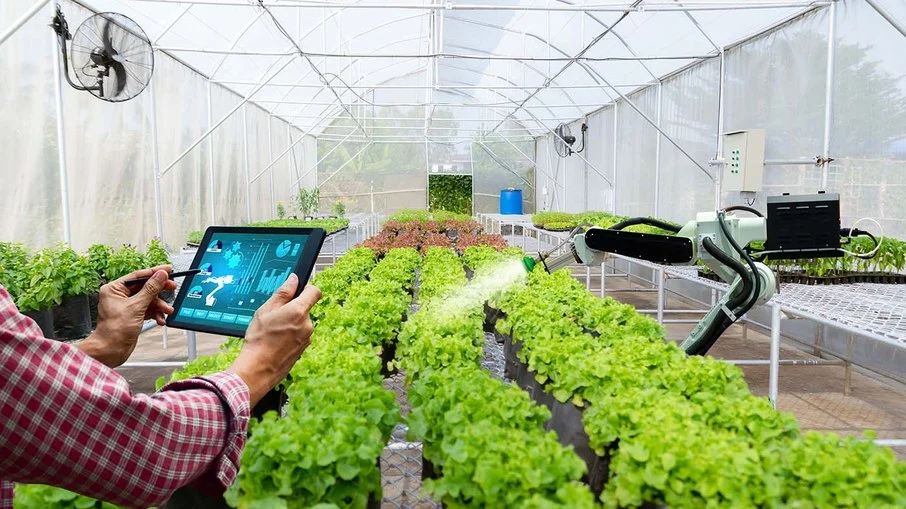 Entre a Tecnologia e a Bioeconomia Entre a Tecnologia e a Bioeconomia