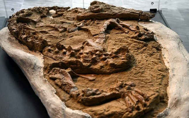Um fóssil de 10 milhões de anos de um crocodilo é revelado no auditório do Ministério de Energia e Minas em Lima, no Peru, 27 de novembro de 2024 Um fóssil de 10 milhões de anos de um crocodilo é revelado no auditório do Ministério de Energia e Minas em Lima, no Peru, 27 de novembro de 2024
