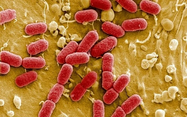 A resistência a antibióticos é um fenômeno natural, mas o uso excessivo e equivocado destes medicamentos agravou o problema A resistência a antibióticos é um fenômeno natural, mas o uso excessivo e equivocado destes medicamentos agravou o problema
