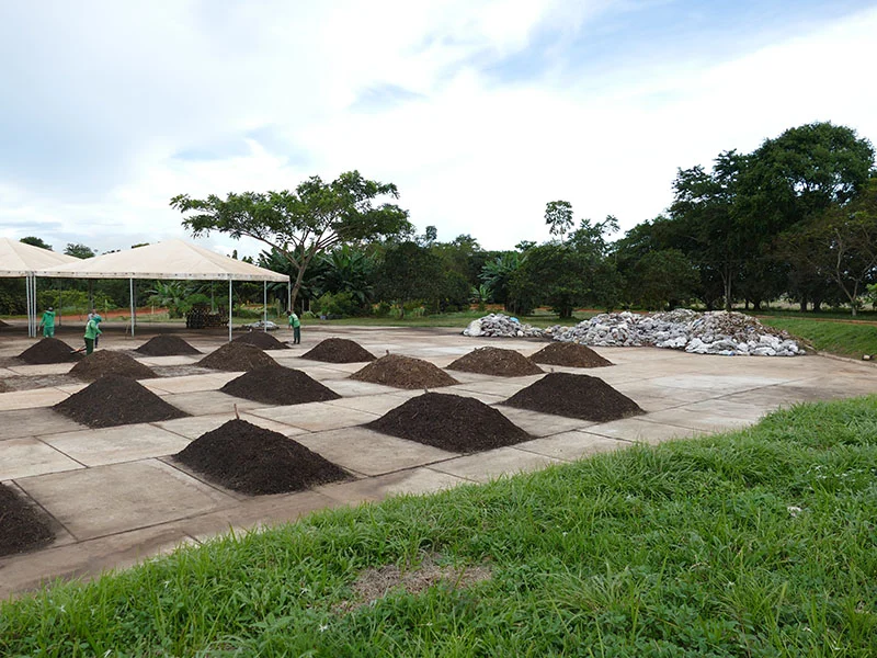 Desperdício, compostagem, fome
