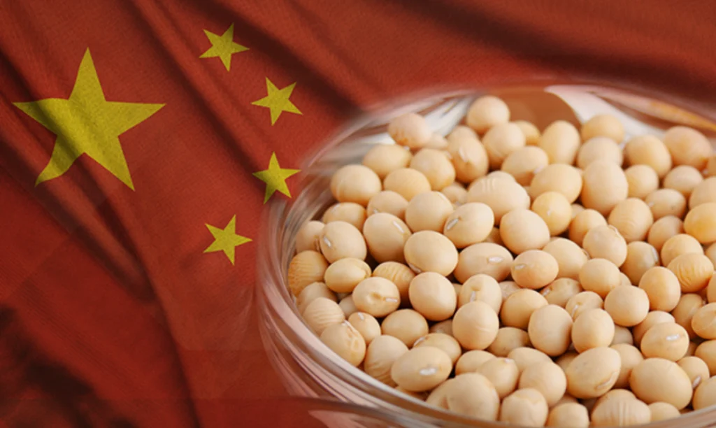 China importação soja