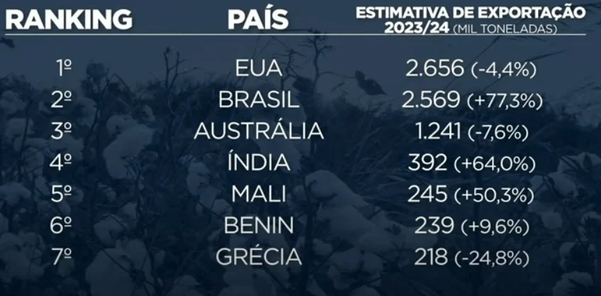 exportação algodão