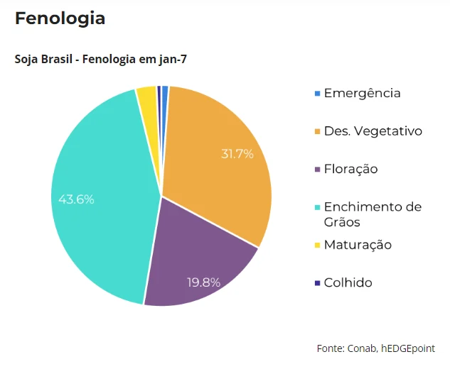 fenologia da soja safra 23/24