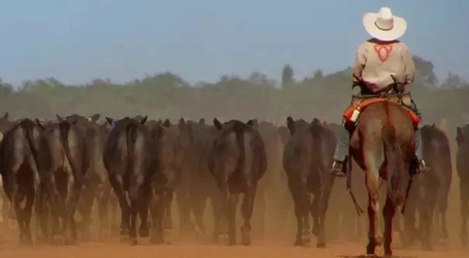 Fazenda Nova Piratininga localizada entre os estados de Goiás e Tocantins
