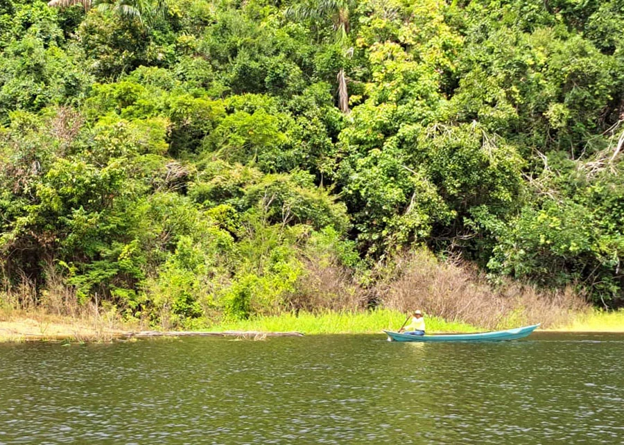 Solo do Rio Nego, no Amazonas, é alvo de pesquisa da Embrapa