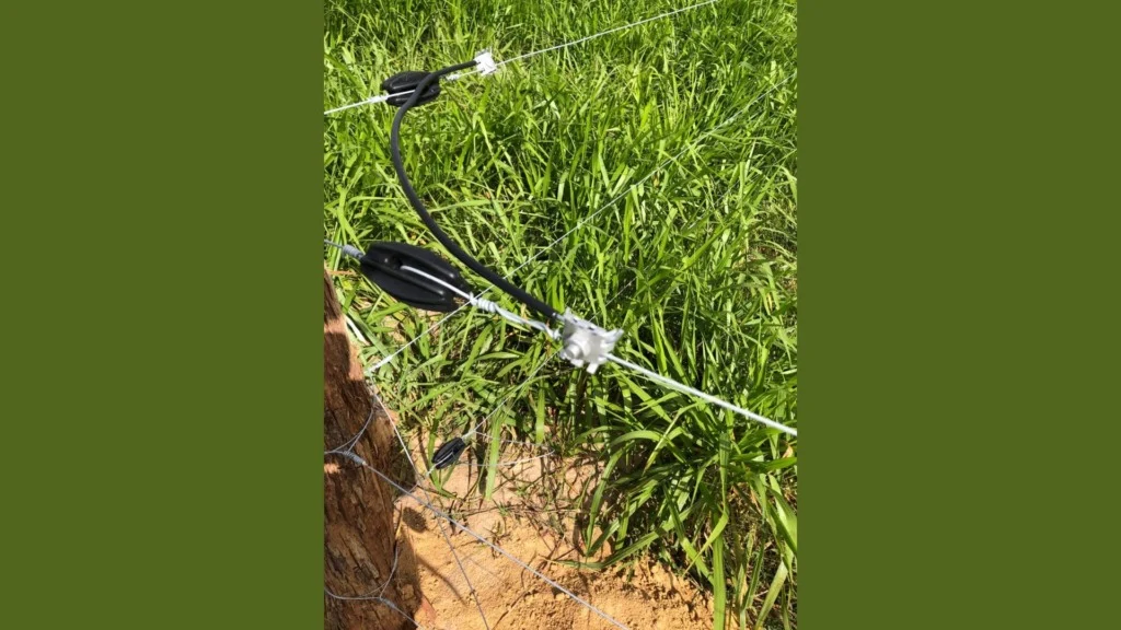 Detalhe de instalação da cerca elétrica na fazenda. Foto: Divulgação/Ernesto Coser