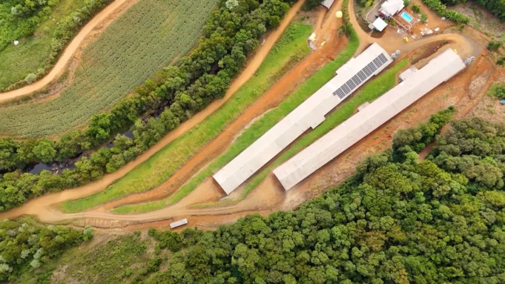 Família Fuelber e 40 anos de avicultura em SC | Interligados - Canal Rural