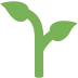 🌱