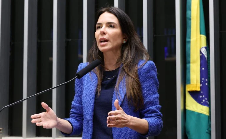 Discussão e votação de propostas legislativas. Dep. Any Ortiz (PP - RS)