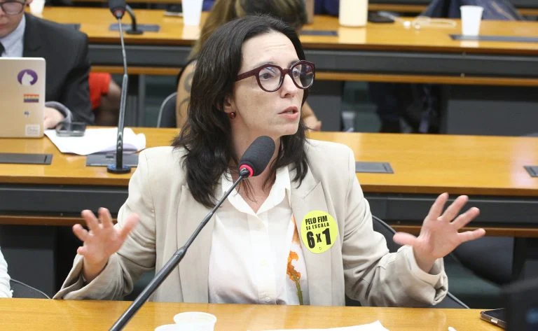 Audiência Pública - Da violência à responsabilização: ódio contra mulheres, crimes graves e desafios de implementação da lei. Dep. Ana Pimentel (PT - MG)