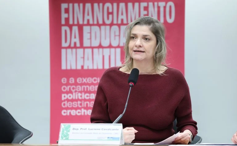 Audiência Pública - Financiamento da educação infantil e a execução orçamentária das políticas públicas destinadas as creches no Brasil. Dep. Professora Luciene Cavalcante (PSOL - SP)