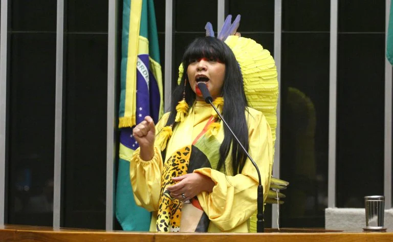 Deputada Célia Xakriabá fala ao microfone