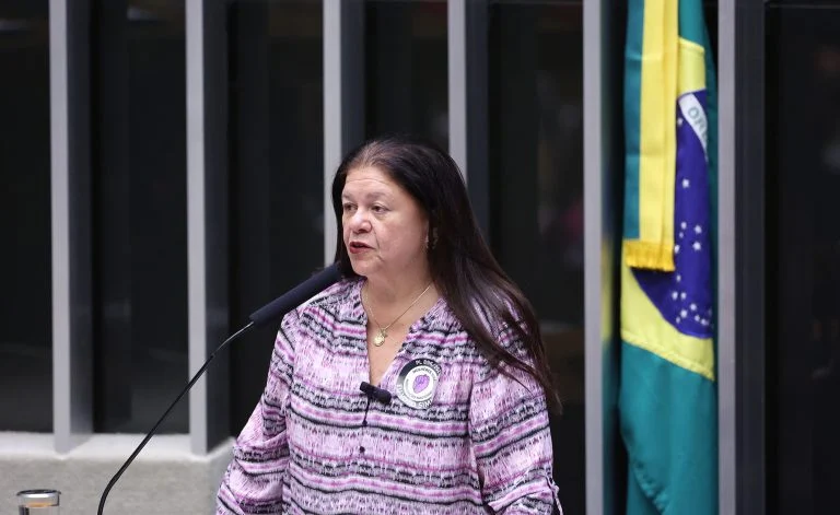 Deputada Laura Carneiro fala ao microfone