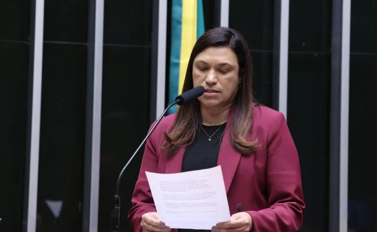 Discussão e votação de propostas legislativas. Dep. Maria Rosas (REPUBLICANOS - SP)