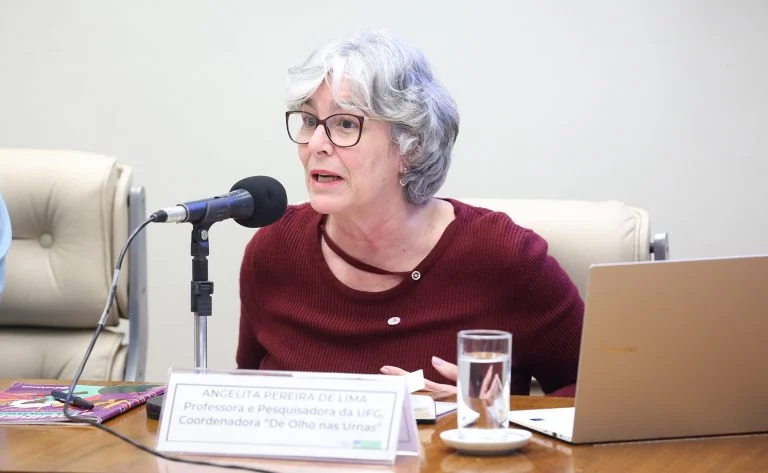Seminário - 5 anos do Observatório Nacional da Mulher na Política (ONMP). Professora e pesquisadora da UFG, Coordenadora do projeto De Olho nas Urnas - Universidade Federal de Goiás, Angelita Pereira de Lima.