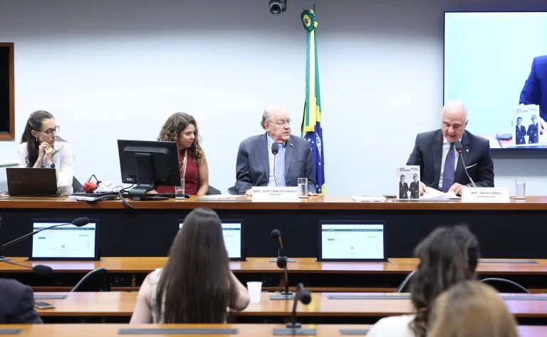 Votação de requerimentos e discussão e votação do relatório parcial. Dep. Luiz Carlos Hauly (PODE - PR) e Dep. Julio Lopes (PP - RJ)