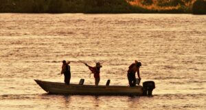 Defeso da Piracema começa dia 5 de novembro em MS e último fim de semana de pesca exige cuidados