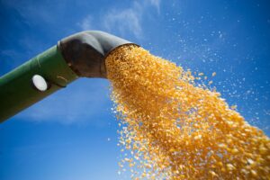 Empresa investe R$ 1 bi para produzir etanol de milho, óleo e farelo em MS