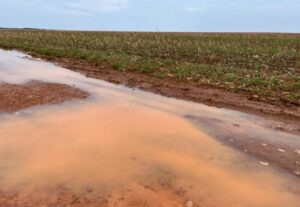 Estiagem e altas temperaturas ameaçam lavouras de soja em MT