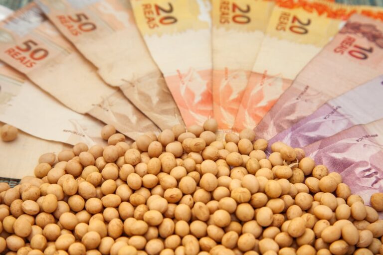 Preços da soja no Brasil oscilam; confira