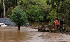 Santa Catarina: governo e entidades se unem para auxiliar produtores rurais afetados pelas enchentes