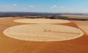 Inpe mapea culturas agrícolas no Cerrado obtendo precisão de até 96%